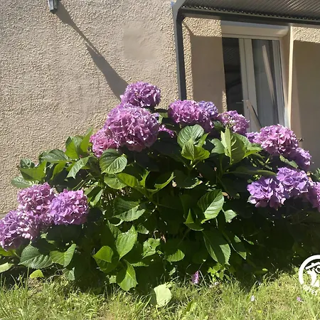 Casa rural Hortensias *
